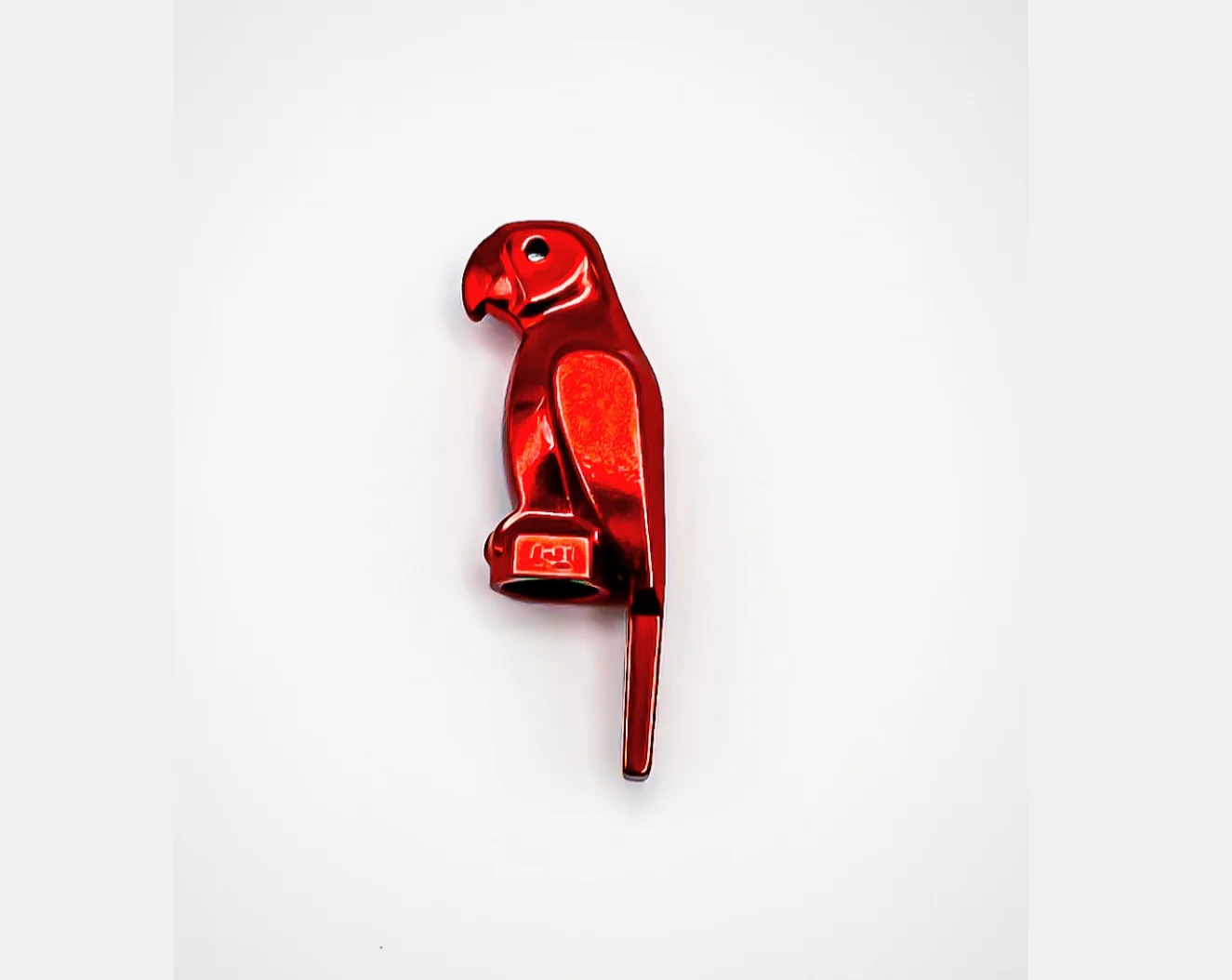 Bird, Parrot with Small Beak