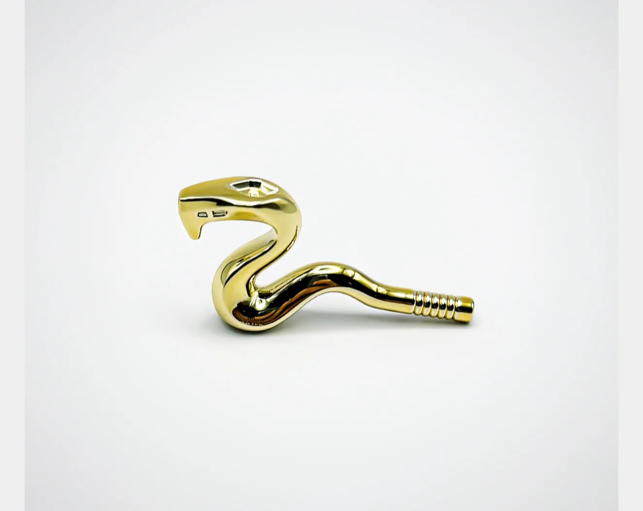 Snake, Cobra Raised