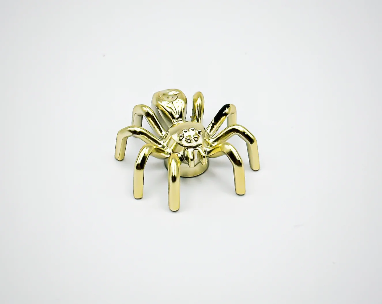 Spider, Elongated Abdomen