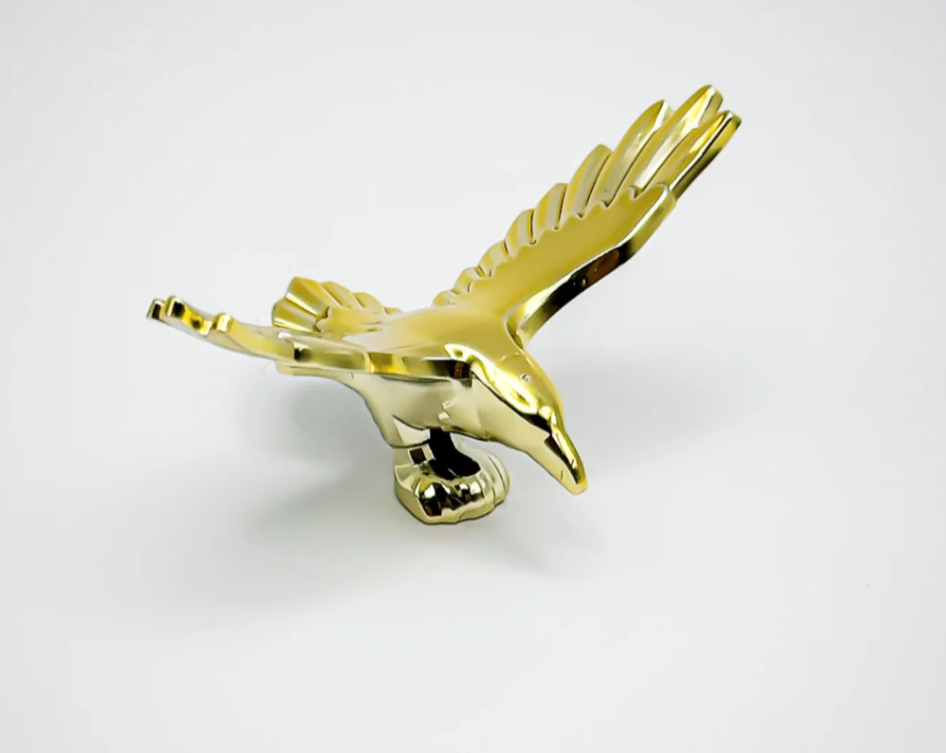 Bird, Raven Open Wings